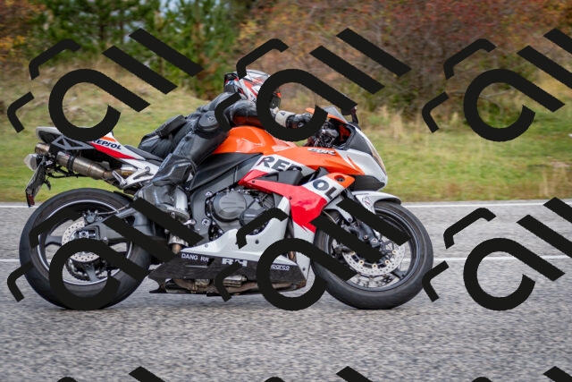 202510181249-DSC_8597_c2