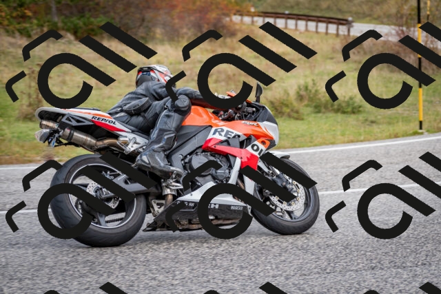 202510181249-DSC_8598_c2