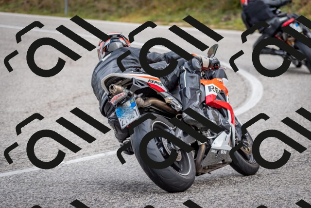 202510181249-DSC_8599_c2