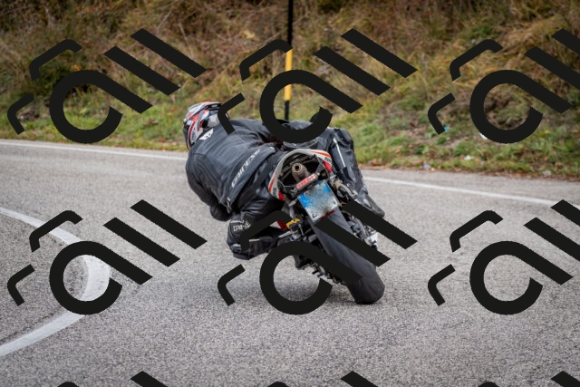 202510181249-DSC_8600_c2