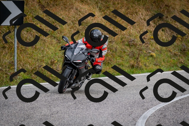 202510181249-DSC_8601_c2