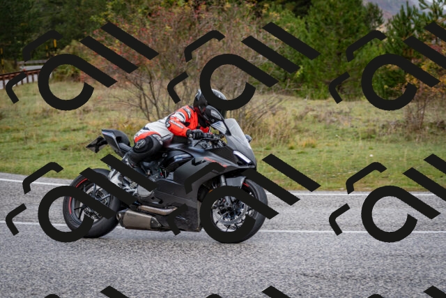 202510181249-DSC_8602_c2