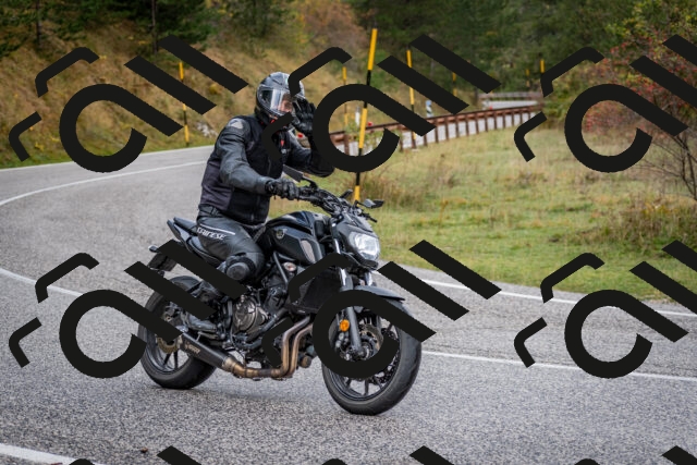 202510181249-DSC_8603_c2