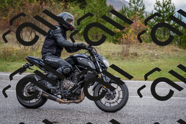 202510181250-DSC_8604_c2