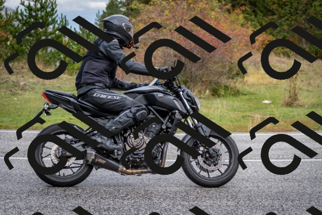 202510181250-DSC_8605_c2