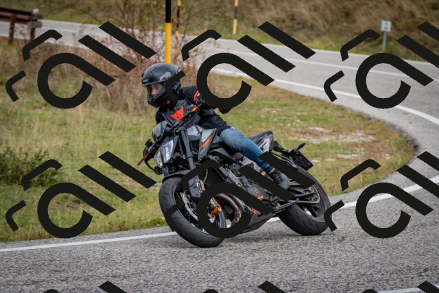 202510181254-DSC_8607_c2