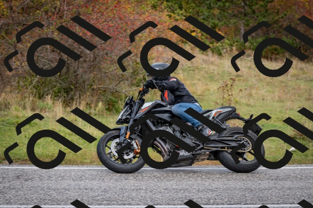 202510181254-DSC_8608_c2