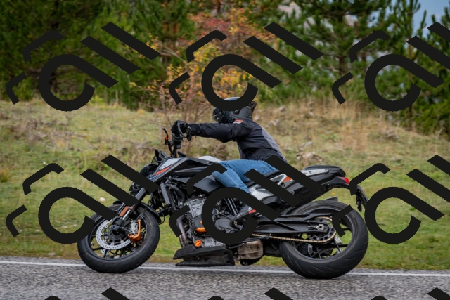 202510181254-DSC_8609_c2