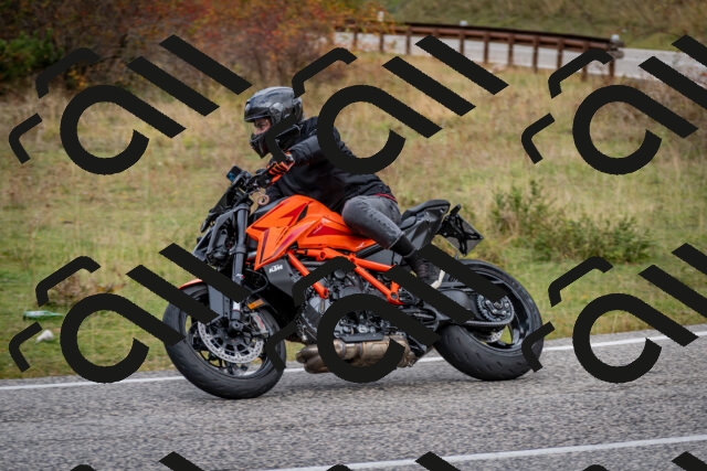 202510181254-DSC_8610_c2