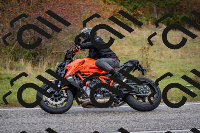 202510181254-DSC_8611_c2