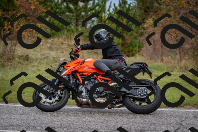 202510181254-DSC_8612_c2