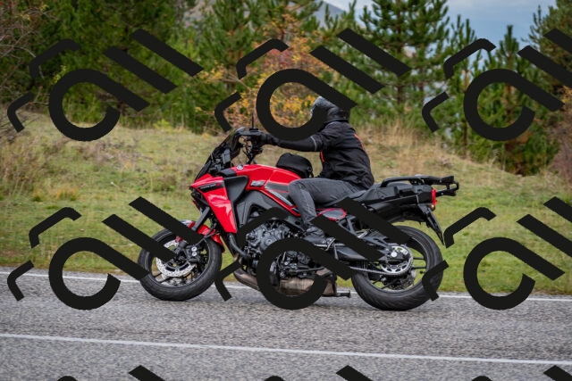 202510181254-DSC_8615_c2