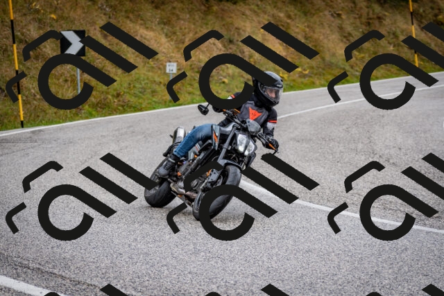 202510181255-DSC_8616_c2