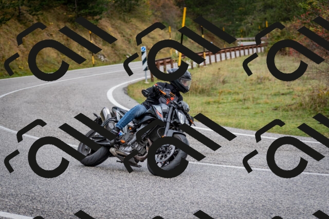 202510181255-DSC_8617_c2