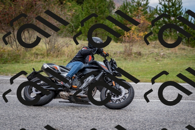 202510181255-DSC_8618_c2