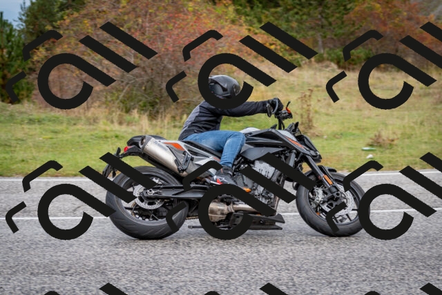 202510181255-DSC_8619_c2