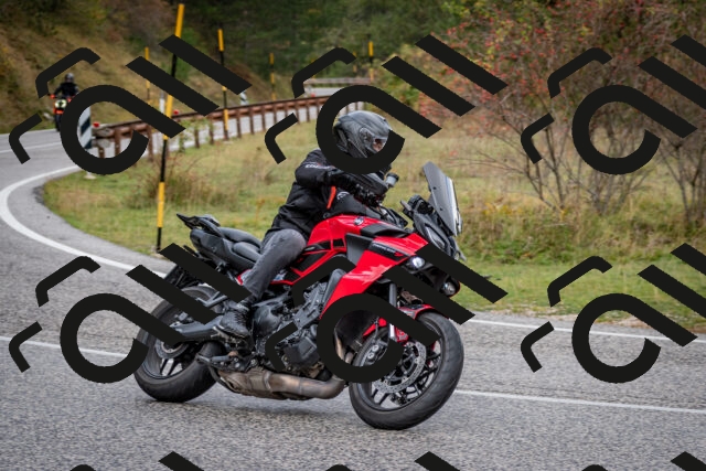 202510181255-DSC_8622_c2