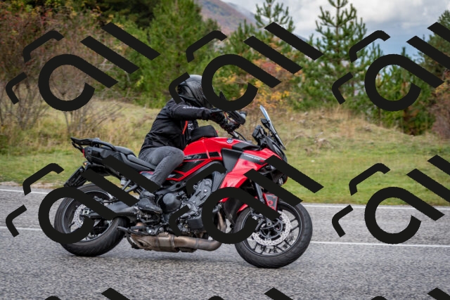 202510181255-DSC_8623_c2