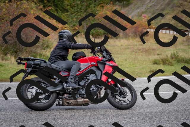 202510181255-DSC_8624_c2