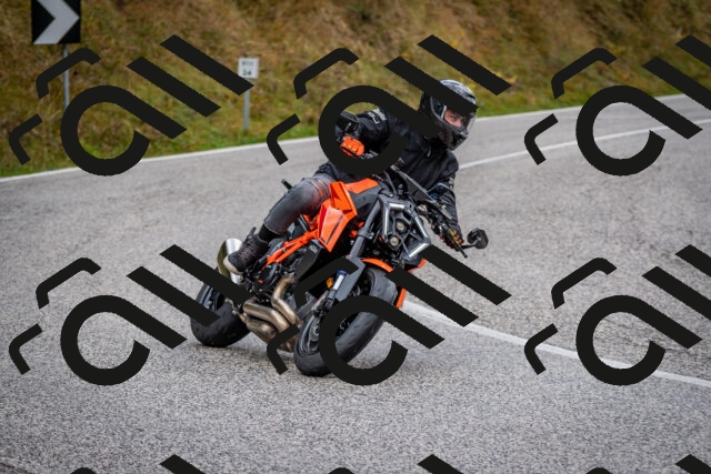 202510181255-DSC_8625_c2