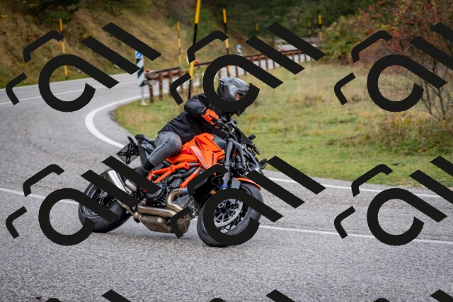 202510181255-DSC_8626_c2