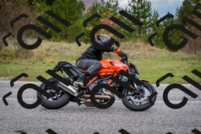 202510181255-DSC_8627_c2