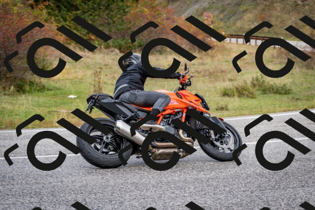 202510181255-DSC_8628_c2