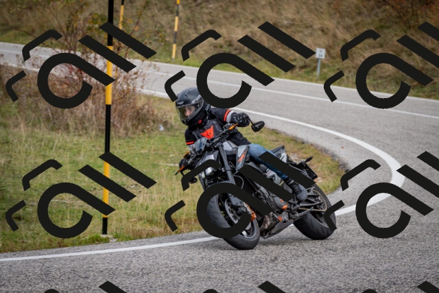 202510181255-DSC_8629_c2