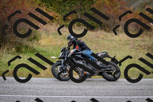 202510181255-DSC_8630_c2