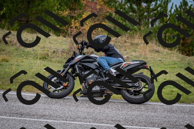 202510181255-DSC_8631_c2