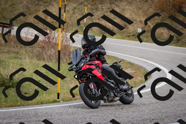 202510181255-DSC_8632_c2