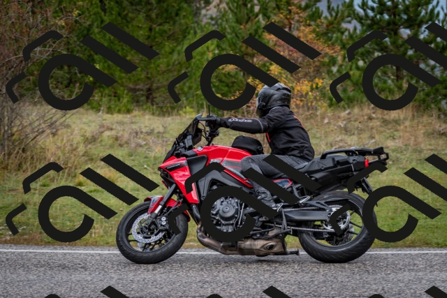 202510181255-DSC_8634_c2