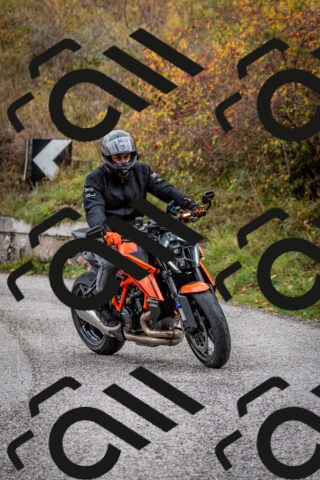 202510181256-DSC_8636_c2