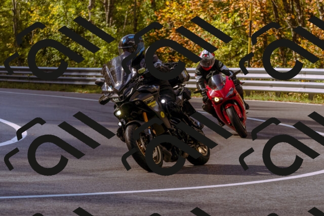 202510181119-_DSC1399_d1_