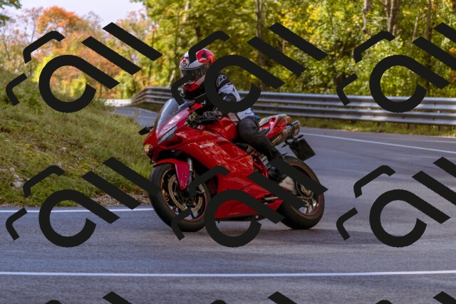 202510181119-_DSC1401_d1_