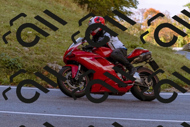 202510181119-_DSC1402_d1_