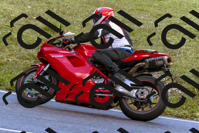 202510181119-_DSC1404_d1_