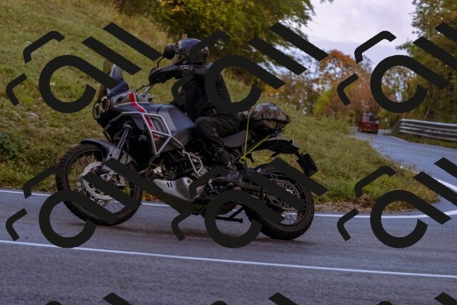 202510181122-_DSC1419_d1_