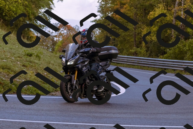 202510181124-_DSC1421_d1_