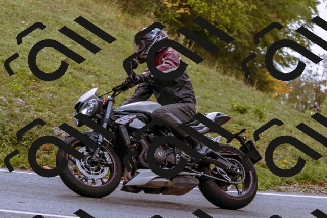 202510181138-_DSC1425_d1_