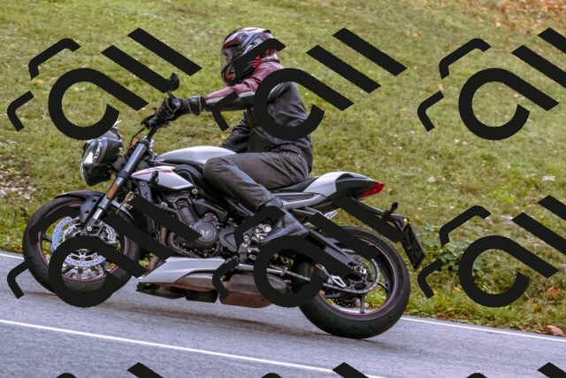 202510181138-_DSC1426_d1_