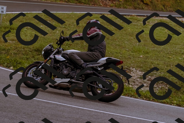 202510181138-_DSC1427_d1_