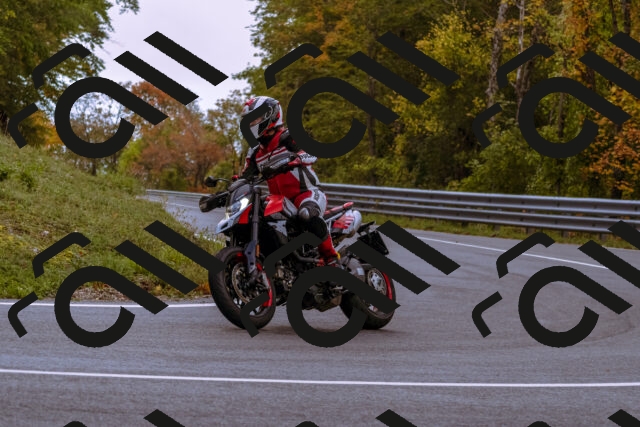 202510181138-_DSC1429_d1_