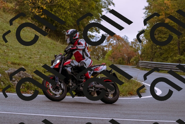 202510181138-_DSC1430_d1_