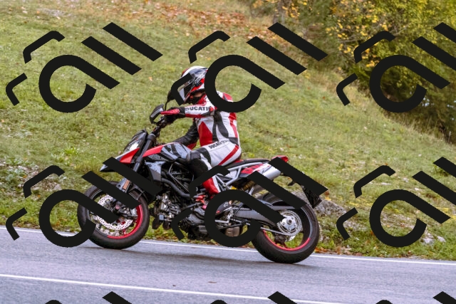 202510181138-_DSC1431_d1_