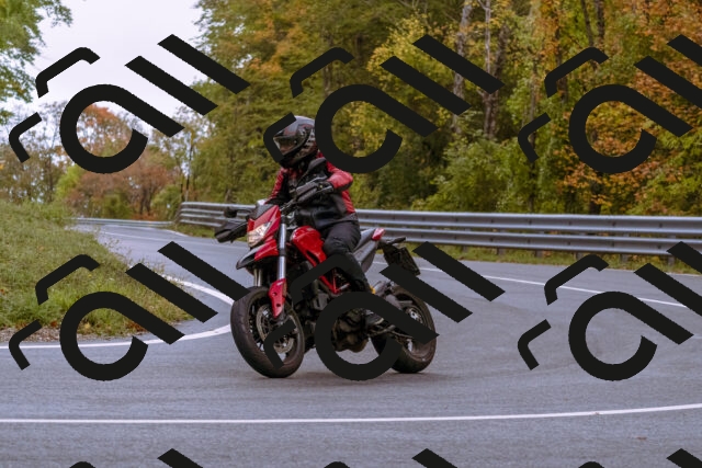 202510181138-_DSC1434_d1_