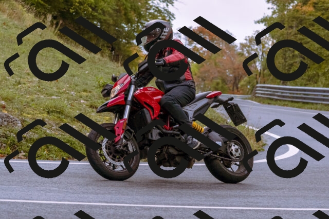 202510181138-_DSC1435_d1_