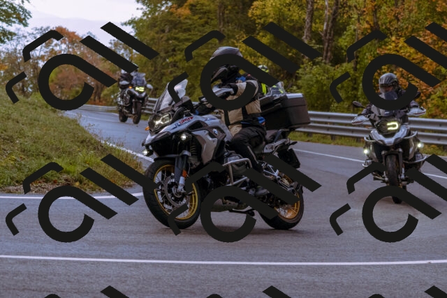 202510181145-_DSC1442_d1_