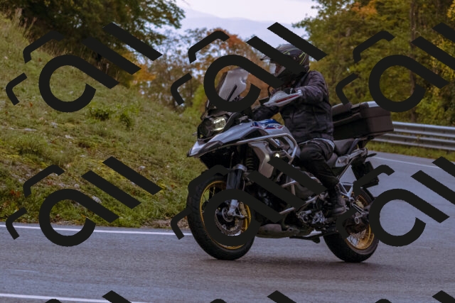 202510181145-_DSC1444_d1_