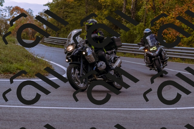 202510181145-_DSC1446_d1_